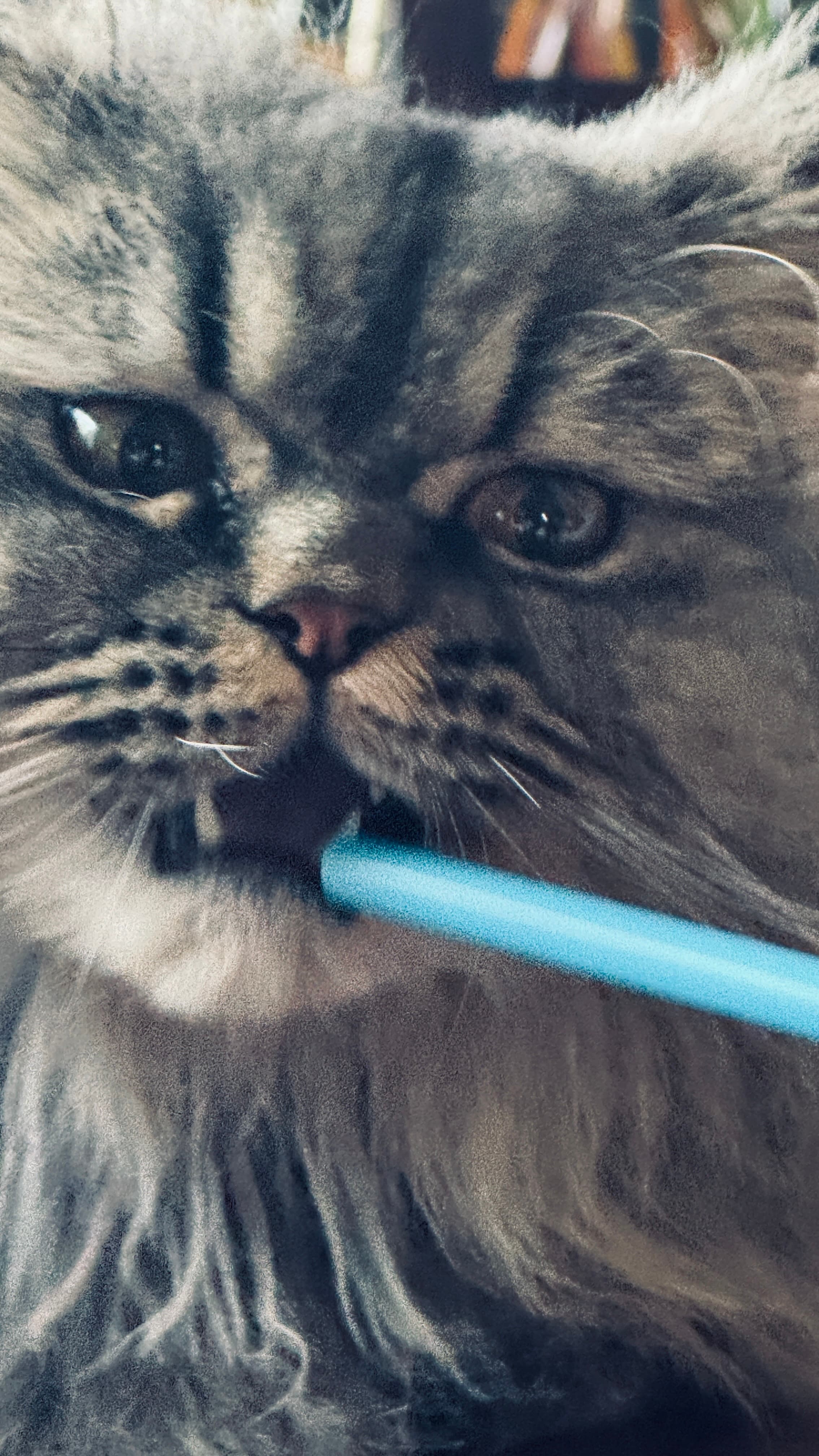 Gizz with straw
